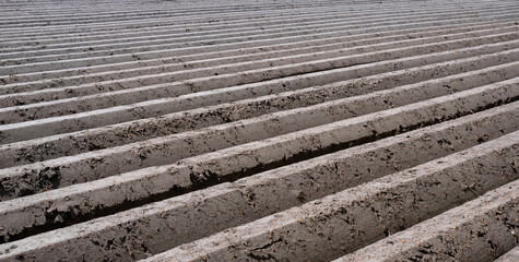 Background with deep plowed straight furrows in the earth necessary for planting seed potatoes. Potatoes are grown in ridges