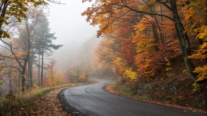 Obraz premium Lonely road cutting through dense forest during autumn with fog in background.