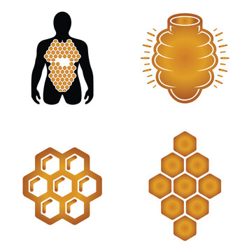 A silhouette of honney comb body vector on a white background