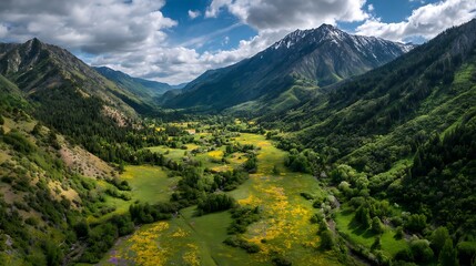 Fototapeta premium Aerial view of mountain valley in the springtime