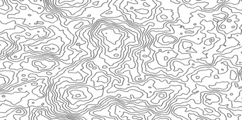 topographic contour lines grid map seamless pattern,  white and gray luxury grid topography map, abstract geographic mountain relief diagram line wave carve design.
