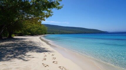 Tranquil Beach Serenity: Footprints in the Sand of a Secluded Paradise
