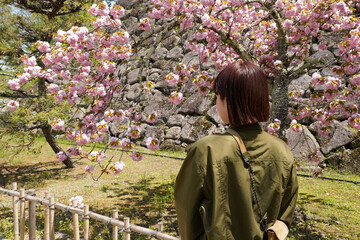 お城の八重桜の下で佇む女性（ヨコ）