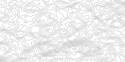 abstract topographic map background geographic line  with elevation, geographic mountain relief abstract lines background, panorama view gradient multicolor wave curve lines banner design.