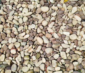White, grey, and brown pebbles as decorative material on landscape garden or park, pebble stones are good choice for modern contemporary garden floor.