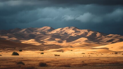 Fototapeta premium Golden dunes contrast dramatic stormy desert sky