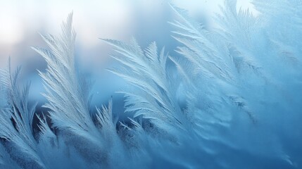 Obraz premium Intricate frost patterns elegantly form on the windowpane, illuminated by soft blue light, capturing the beauty of winter's chill in the early morning