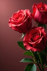 Elegant red roses bouquet, Valentine's Day card design, vector, red roses, greeting card