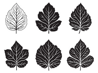 Fototapeta premium Tithonia leaf contour drawing in botanical line artwork