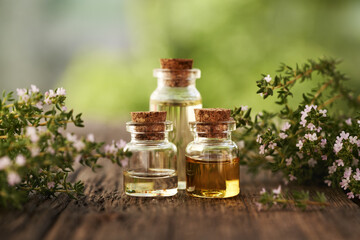 Bottles of aromatherapy essential oil with blooming thyme twigs