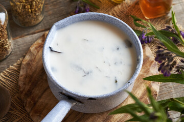 A pot of homemade comfrey root ointment with fresh symphytum plant