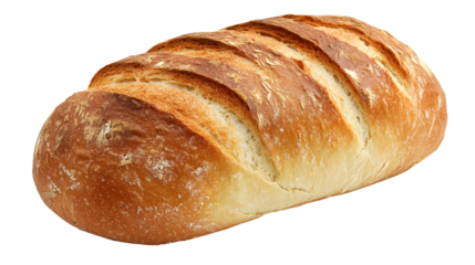 Fresh Single French Loaf Bread on White Background for Bakery Advertisement