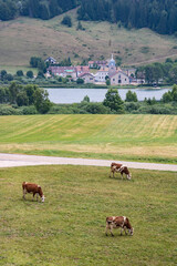Le lac de l'Abbaye est un lac glaciaire du Jura français près de Saint-Laurent-en-Grandvaux, sur...