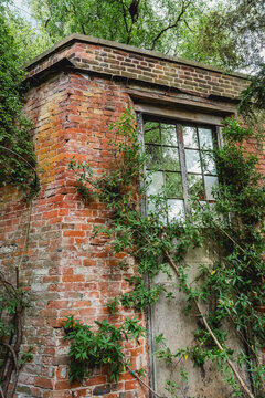 Overgrown abandoned brick building with broken window