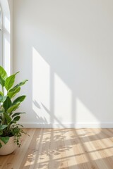 empty white room with a wooden floor and plants.