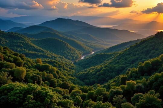 ai generated. ai generative. beautiful green amazon forest landscape at sunset sunrise. adventure explore air dron view vibe