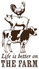 The hen, the pig and the cow stand on their backs one after the other. Funny Cow Pig Hen. Life is better on the farm.