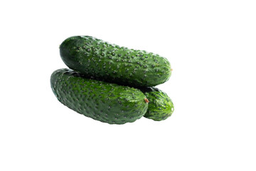Whole young fresh green cucumber close up isolated on white background