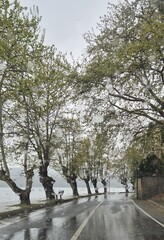 road in the rain