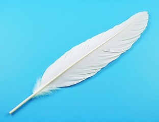 Obraz premium A single, pristine white feather rests on a bright, vibrant blue surface The feather's delicate structure, from the shaft to the barbs, is clearly visible, showcasing its natural beauty