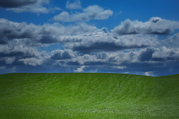 Green grass and blue sky.