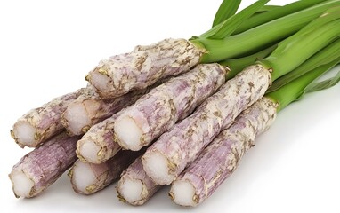Fresh Purple Asparagus Roots Harvest Bundle Close Up