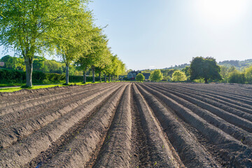 plowed field in spring