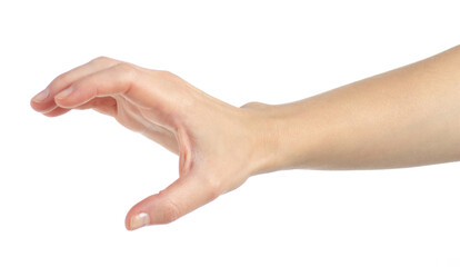 Female hands empty holding take on a white background isolated