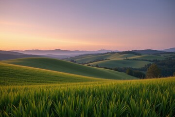 Fototapeta premium Rolling Hills at Dusk