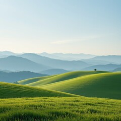 Fototapeta premium Rolling Green Hills Landscape