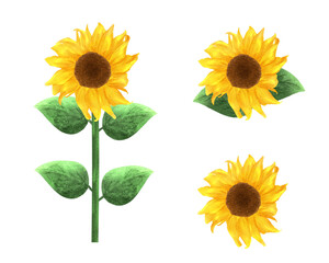 水彩風ひまわりのイラストセット