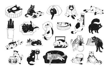 Funny set of cute cat life. Pet kitten home life, actions, scenes with scratching post, toys, bed, box, pillow, bag, food, plant. Linear black and white graphic design for print, card, stickers © Anastasiya Stoma