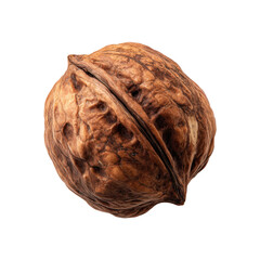 Obraz premium A Close-Up of a Walnut: Nature's Intricate Design