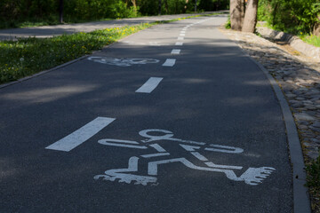 Obraz premium Markings on a path in a city park. The path is intended for rollerblading. The oncoming path is intended for cyclists.
