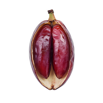date fruit