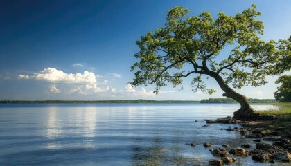 Peaceful lakeside scenery