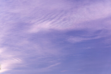 Silhouette of a palm tree against a dramatic sunset sky