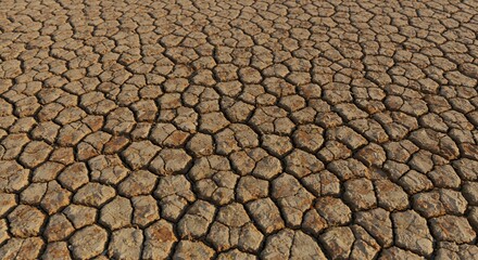 Arid Landscape: Parched Earth Texture