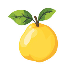 My Simple flat 2D illustration of quince fruit isolated on a transparent background, EPS Format, vector, flat design, animation design, simple flat 2D icon