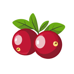 My Simple flat 2D illustration of a cranberry isolated on a transparent background, EPS Format, vector, flat design, animation design, simple flat 2D