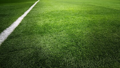 artificial grass surface for the background