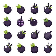 A Simple flat 2D icon jabuticaba set isolated on a transparent background, vector, flat design, animation design, simple flat 2D icon, minimalist design, clipart, illustration