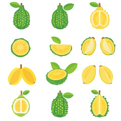 A Simple flat 2D icon jackfruit collection set isolated on a transparent background, vector, flat design, animation design, simple flat 2D icon, minimalist design, clipart, illustration