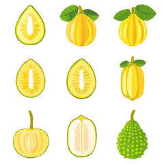 A Simple flat 2D icon jackfruit collection set isolated on a transparent background, vector, flat design, animation design, simple flat 2D icon, minimalist design, clipart, illustration