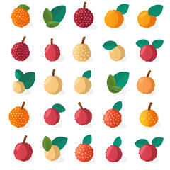 A Simple flat 2D icon vector lychee collection isolated on a transparent background, vector, flat design, animation design, simple flat 2D icon, minimalist design, clipart