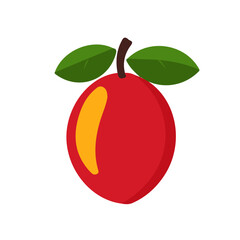 My Simple flat 2D illustration miracle fruit collection isolated on a transparent background, vector, flat design, animation design, simple flat 2D icon, clipart