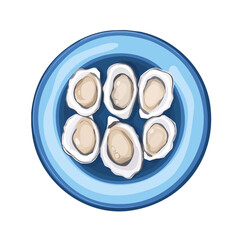 My Simple flat 2D illustration of an oyster plate isolated on a transparent background, vector, flat design, animation design, simple flat 2D icon, clipart