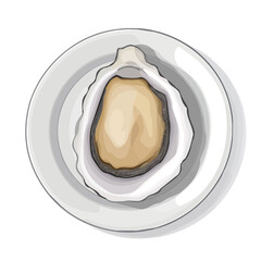 My Simple flat 2D illustration of an oyster plate isolated on a transparent background, vector, flat design, animation design, simple flat 2D icon, clipart