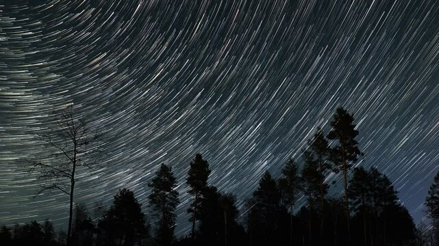 Time lapse of Star Trails over Forest at Night, Long exposure image of star trails spinning across the night sky above a forest silhouette.