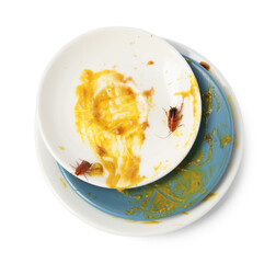 Cockroaches crawling on dirty dishes against white background, top view